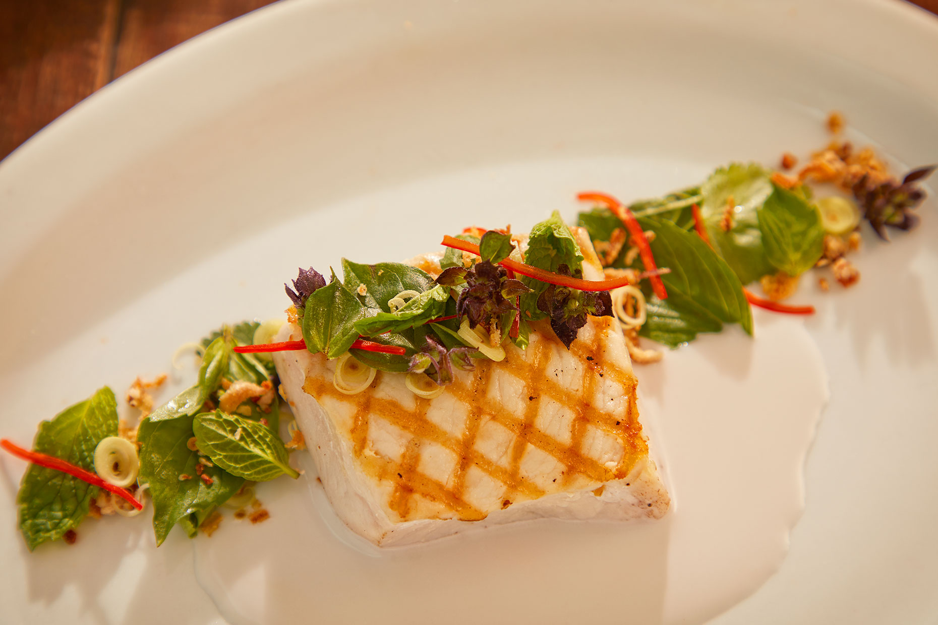 Studio Photography Food Plated Fish