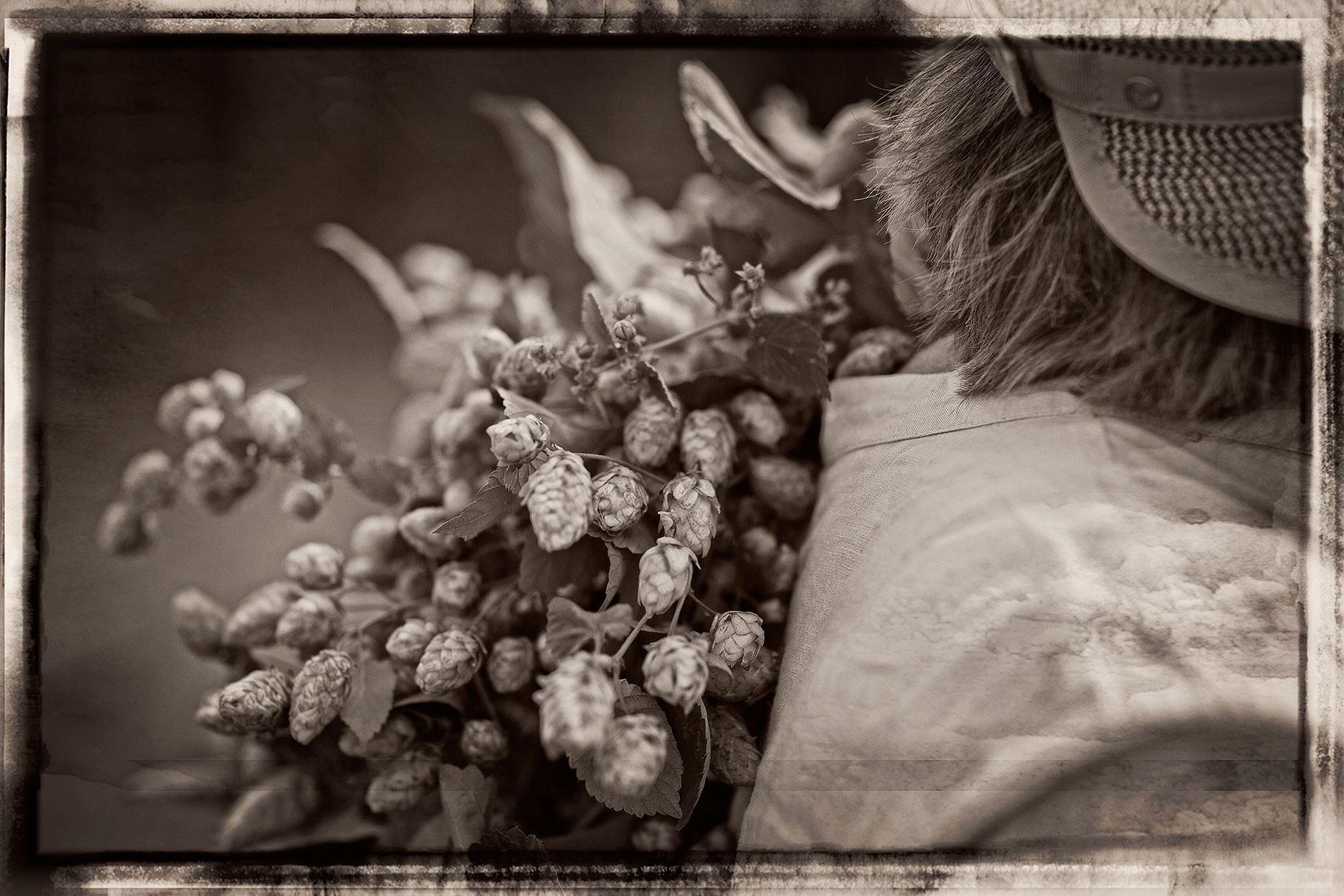 Schooner Exact Hops Tour