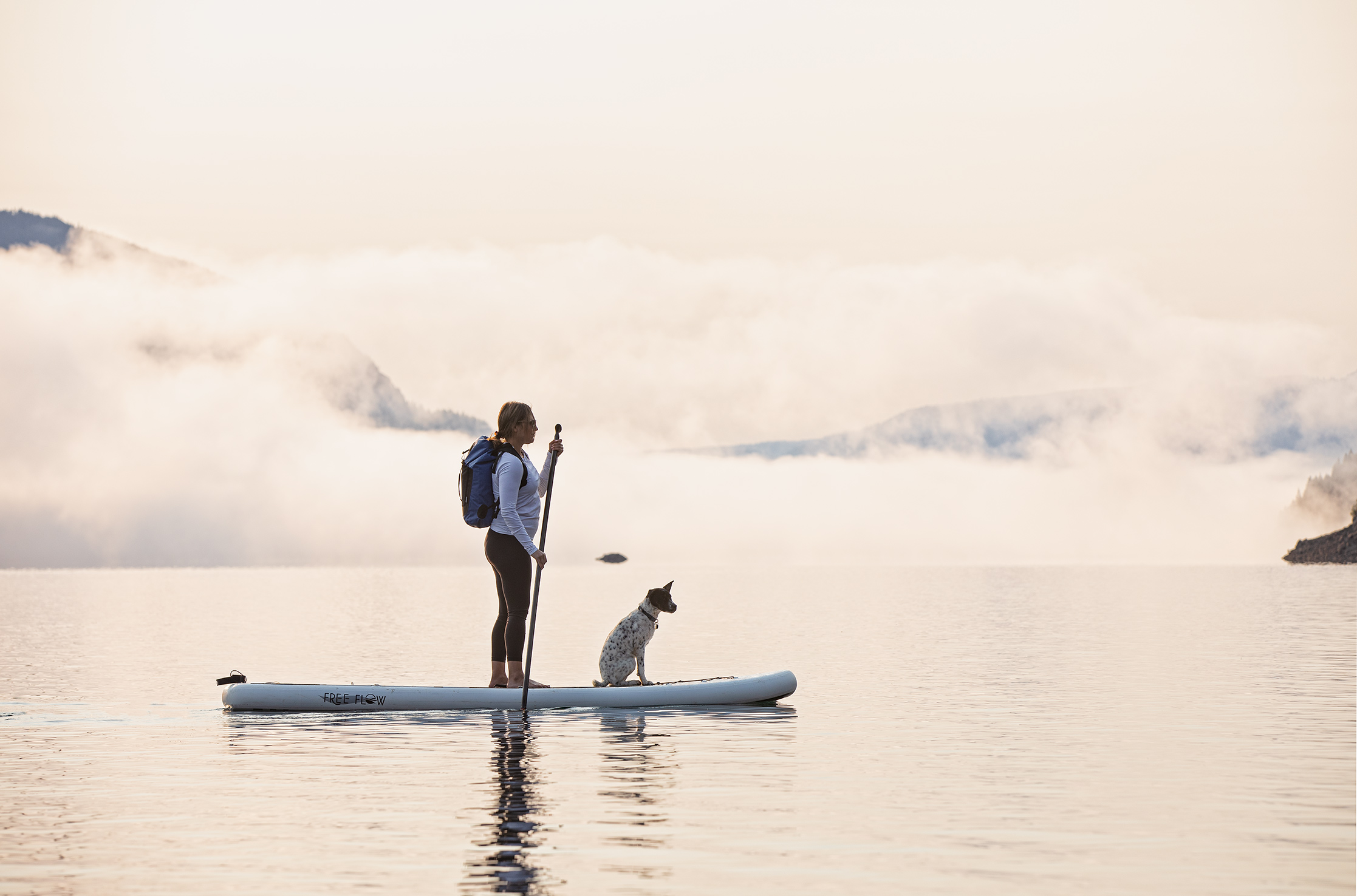 Woman dog paddle board water